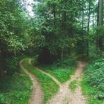 How I Learned to Spot a Goal That Was Never Mine - other people's goals