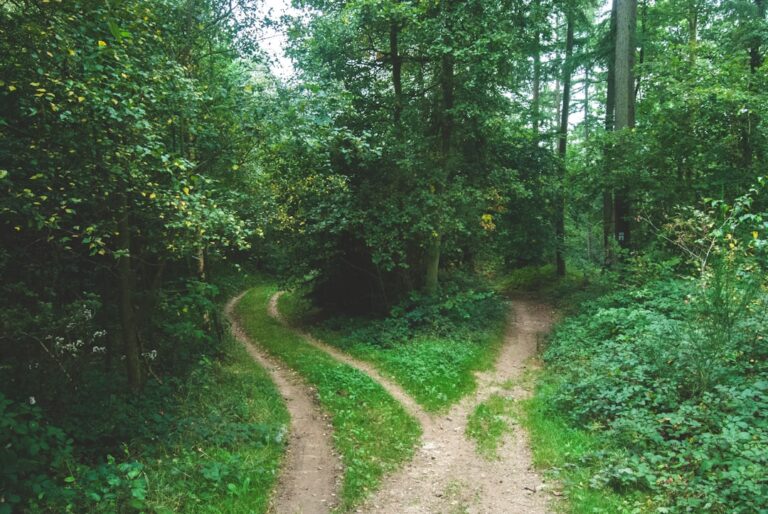 How I Learned to Spot a Goal That Was Never Mine - other people's goals