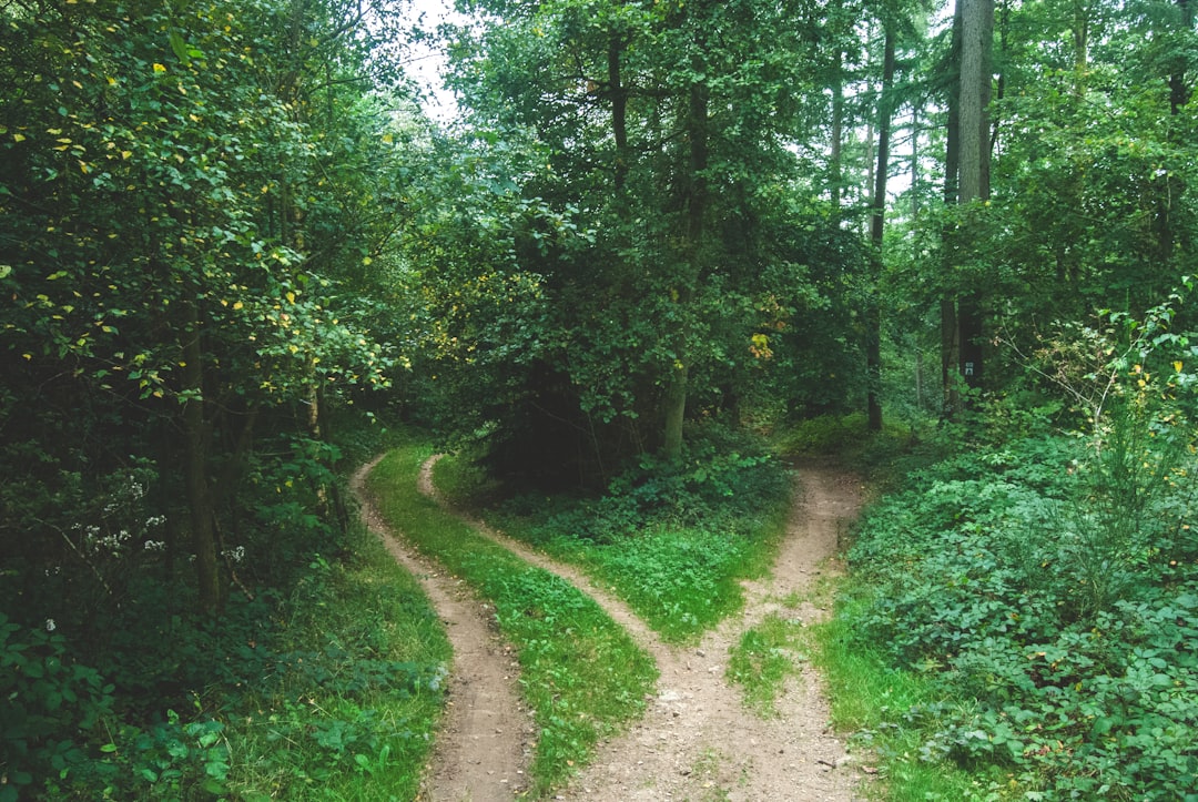 How I Learned to Spot a Goal That Was Never Mine - other people's goals