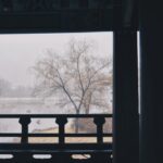 Why I Quit Cold Plunging After Three Months - wellness i quit